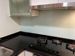 Parc Vista (D22), Condominium #611734871